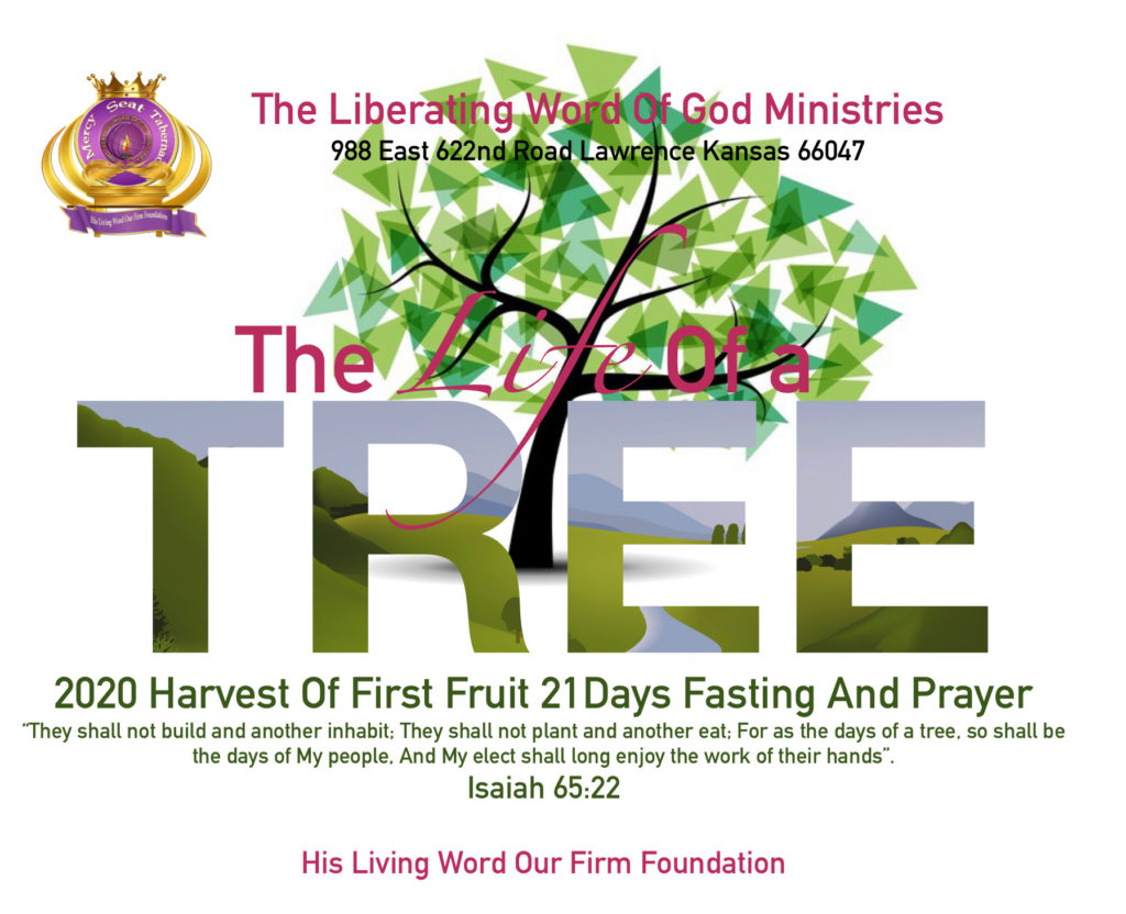 Events theliberatingwordofgodministries