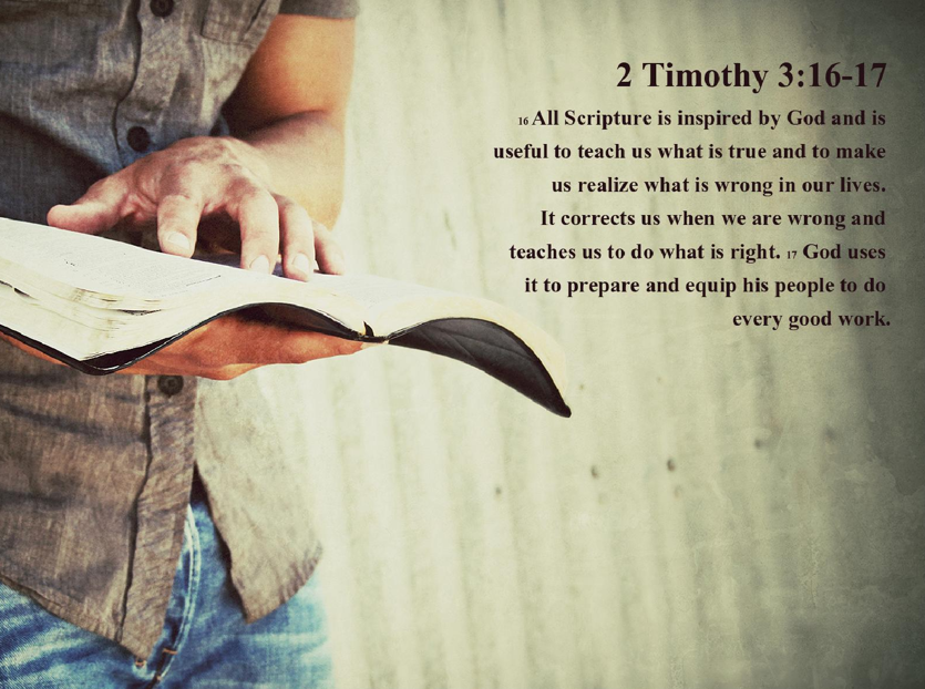 Stay in the Word Website Sidebar